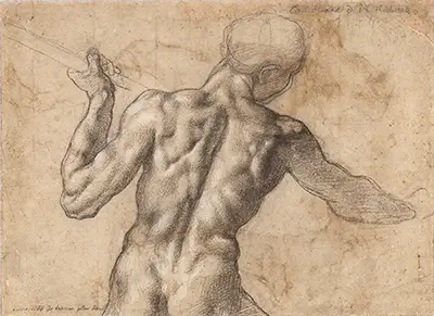 Studie des Torsos eines männlichen Aktes von hinten gesehen Michelangelo